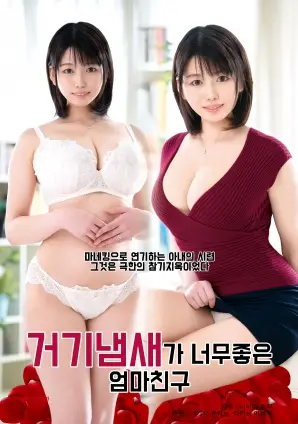 我妈妈的朋友，那里的味道真好 海报