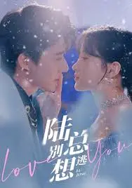 《陆总别想逃》：腹黑总裁的追妻火葬场！看傲娇女主如何逆袭，上演爱情大反转！